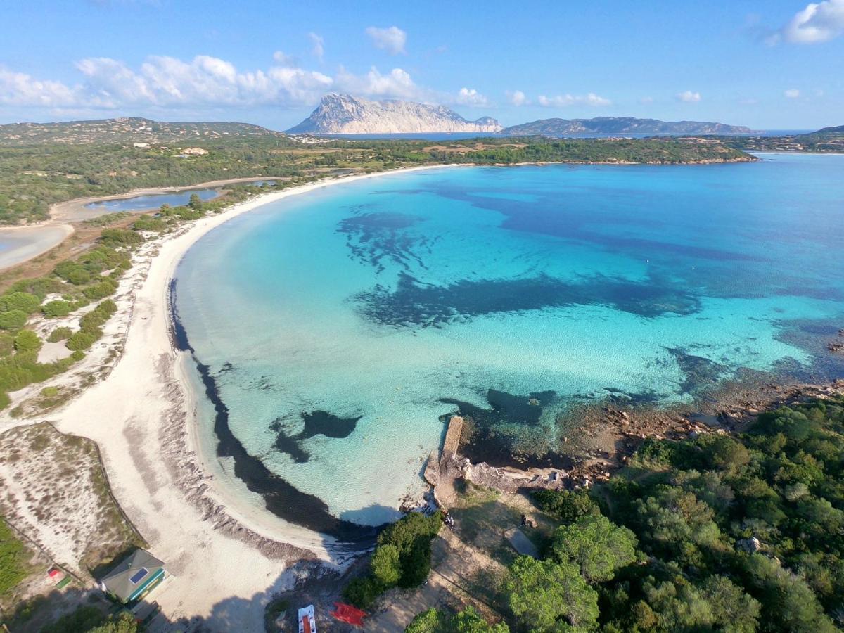 Iss Travel, Villa Fiorita - 800 M From La Cinta Beach San Teodoro  Exterior foto